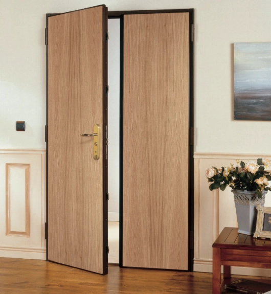 Visuel porte blindee duo g071
