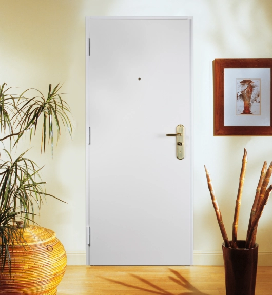 Visuel protecdoor fichet